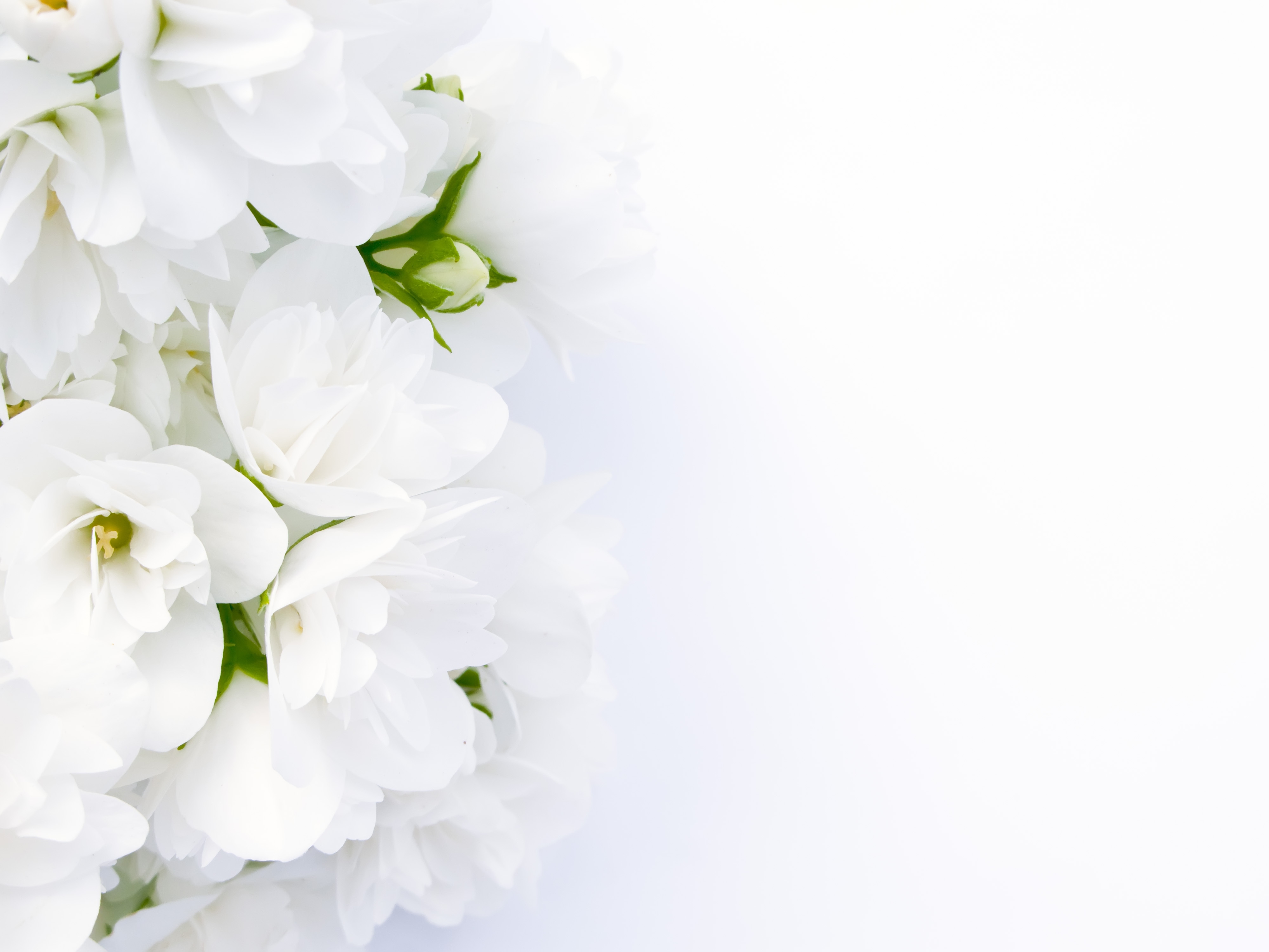 Funeral Services Malaysia